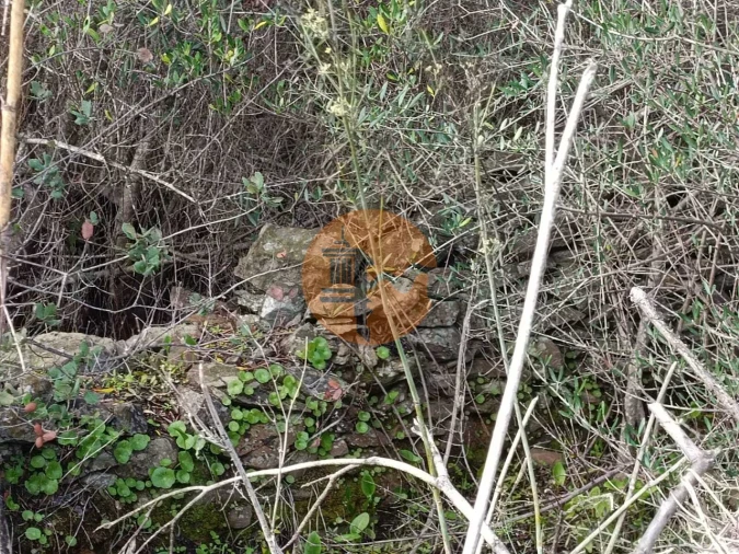 Negócio para Venda em Alcoutim e Pereiro Foto 9