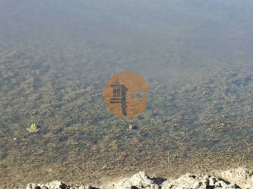 Negócio para Venda em Vaqueiros Foto 4