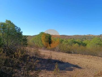 Negócio para Venda em Vaqueiros
