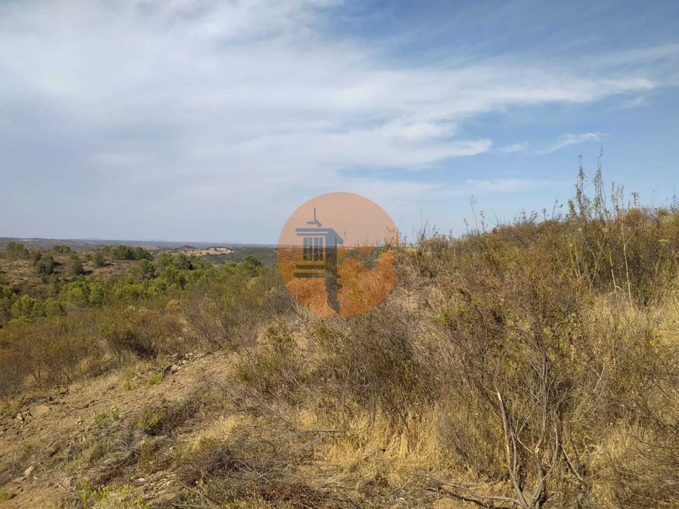 Terreno para Venda em Odeleite Foto 9