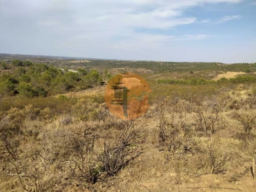 Terreno para Venda em Odeleite