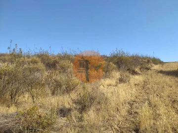 Terreno para Venda em Odeleite