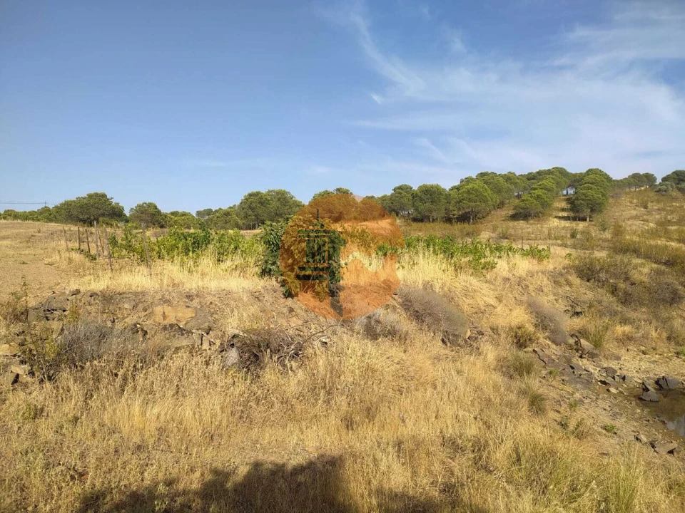 Terreno para Venda em Odeleite Foto 4