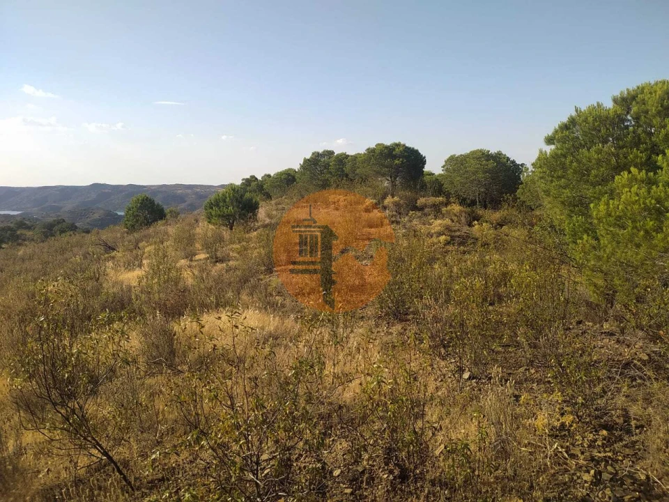 Terreno para Venda em Odeleite Foto 5
