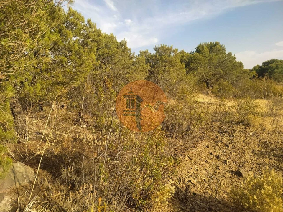 Terreno para Venda em Odeleite Foto 6