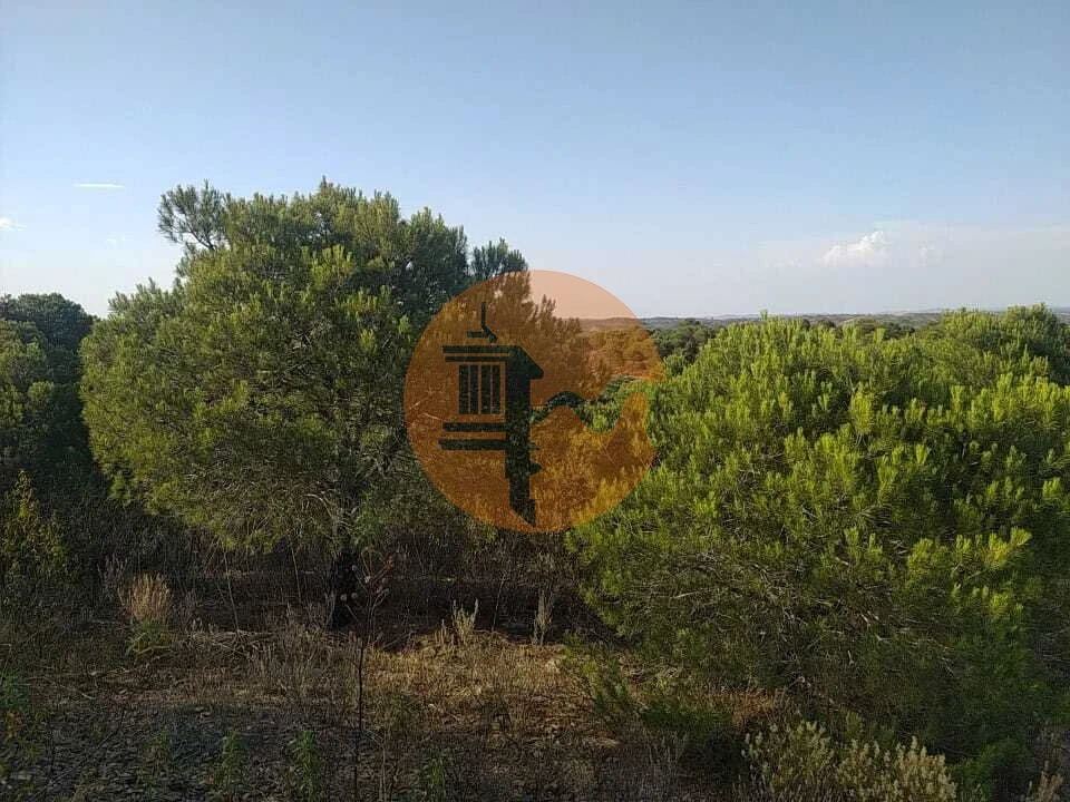 Terreno para Venda em Odeleite Foto 7