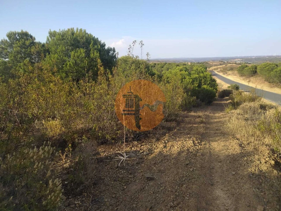 Terreno para Venda em Odeleite Foto 1