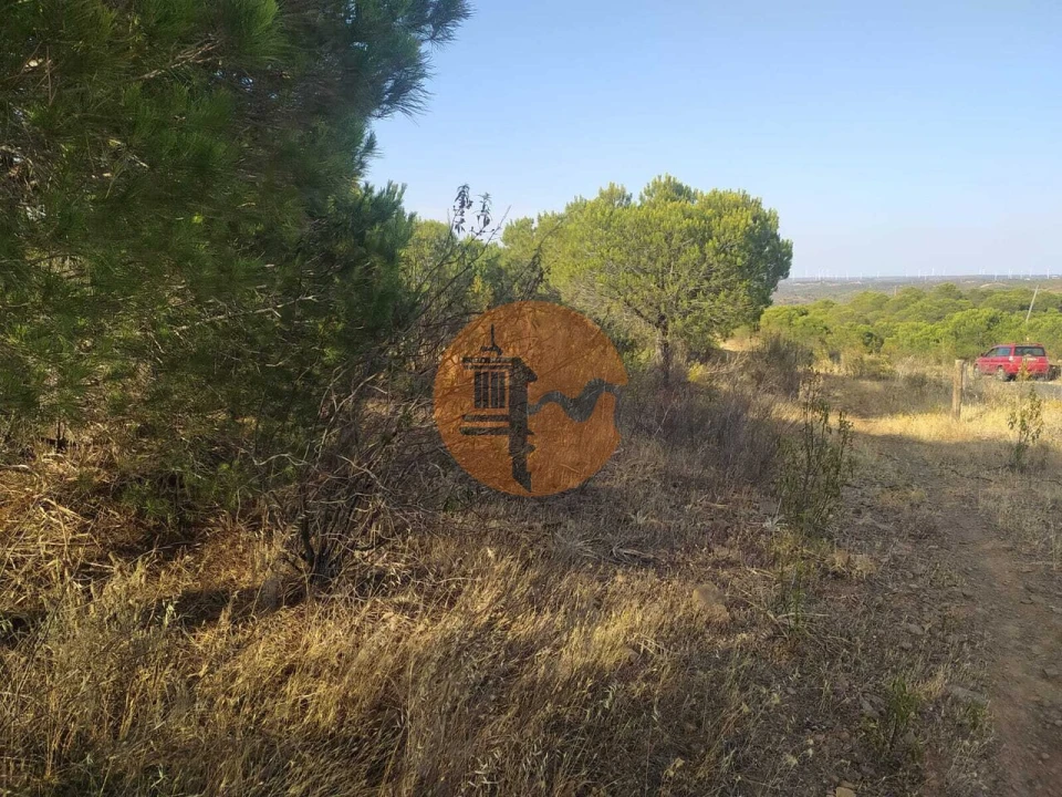 Terreno para Venda em Odeleite Foto 13