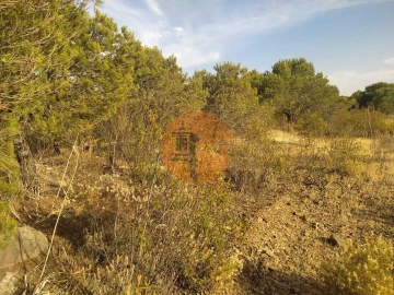 Terreno para Venda em Odeleite