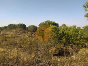 Terreno para Venda em Odeleite