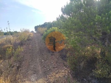 Terreno para Venda em Odeleite