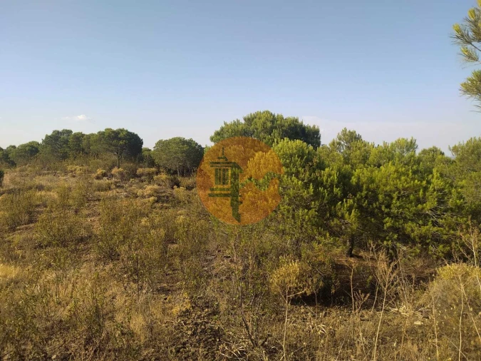 Terreno para Venda em Odeleite Foto 9