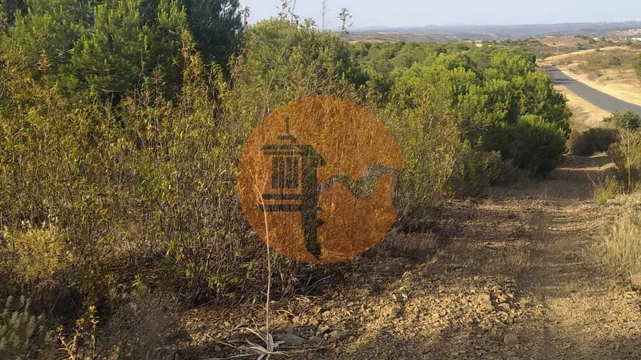 Terreno para Venda em Odeleite