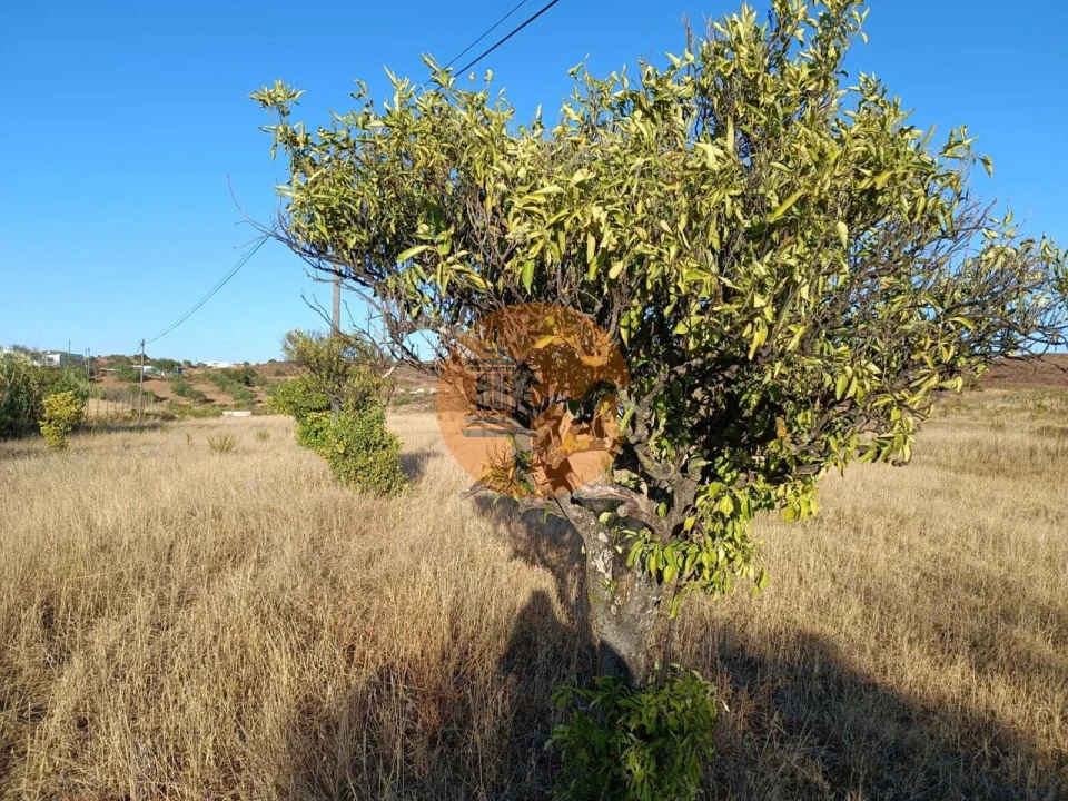 Terreno para Venda em Castro Marim Foto 22