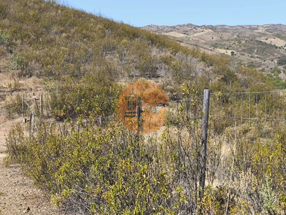 Terreno para Venda em Azinhal Foto 6