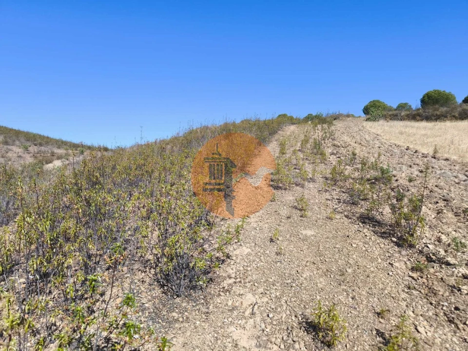 Terreno para Venda em Azinhal Foto 13