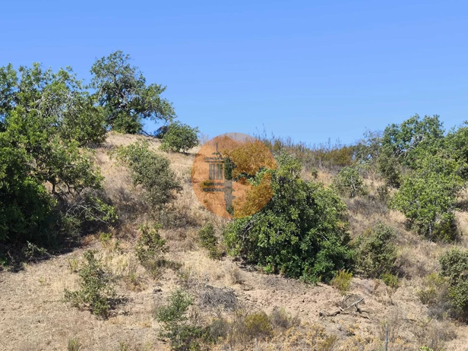 Terreno para Venda em Azinhal Foto 15