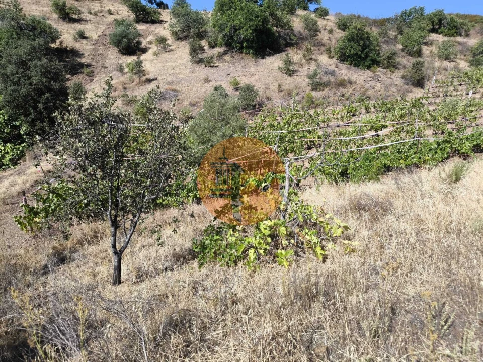 Terreno para Venda em Azinhal Foto 25