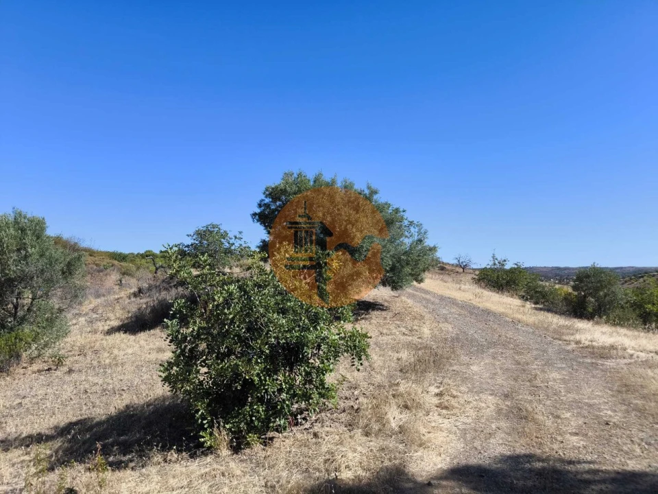 Terreno para Venda em Azinhal Foto 26