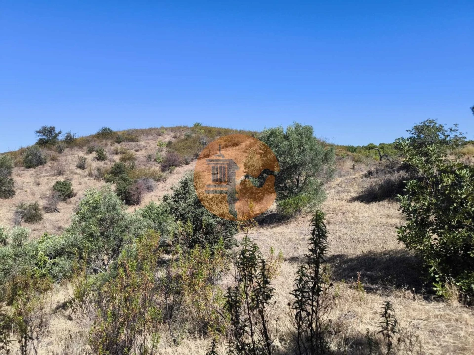 Terreno para Venda em Azinhal Foto 27