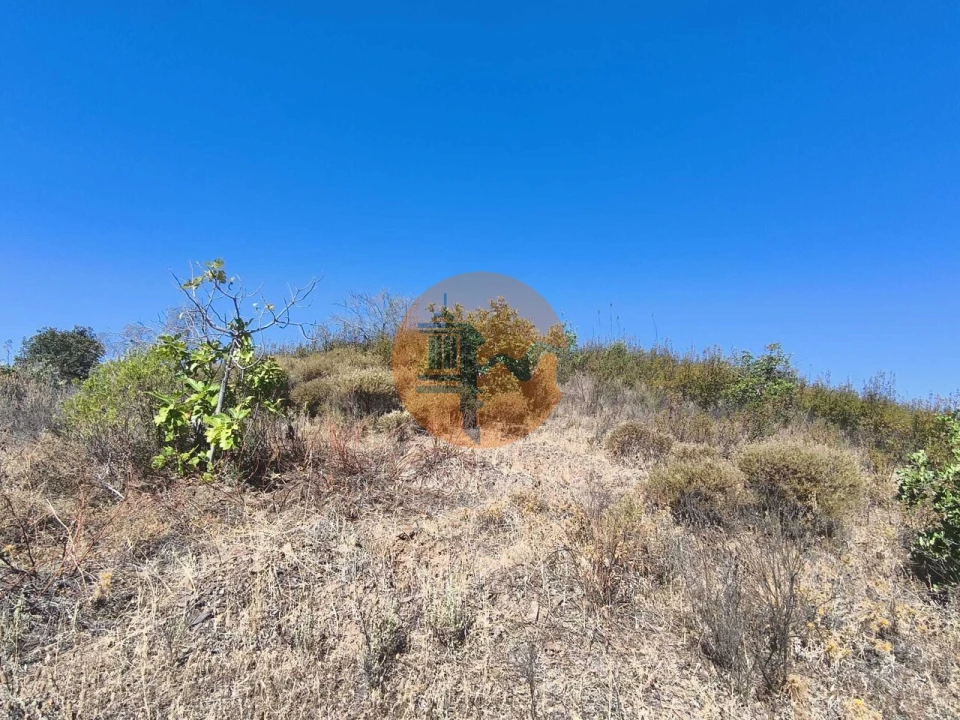 Terreno para Venda em Azinhal Foto 32