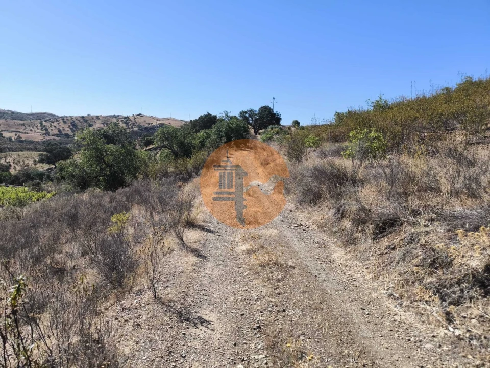 Terreno para Venda em Azinhal Foto 39