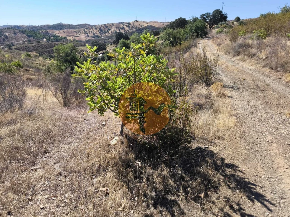 Terreno para Venda em Azinhal Foto 40