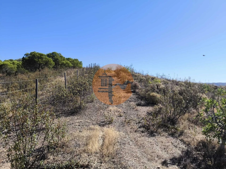Terreno para Venda em Azinhal Foto 42