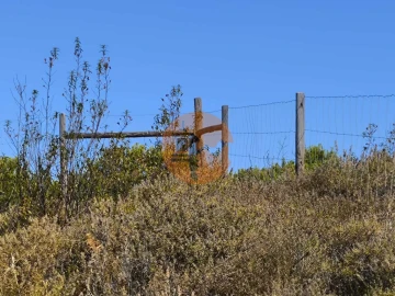 Terreno para Venda em Azinhal