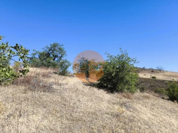 Terreno para Venda em Azinhal