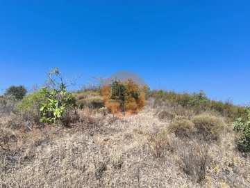 Terreno para Venda em Azinhal