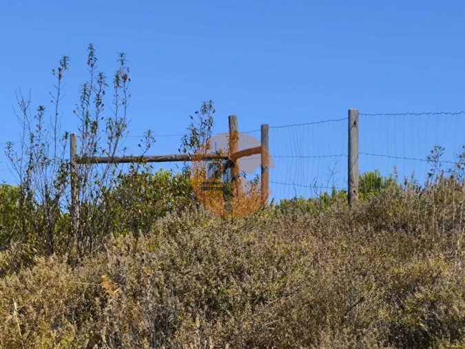 Terreno para Venda em Azinhal Foto 5