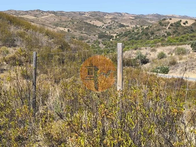 Terreno para Venda em Azinhal Foto 8