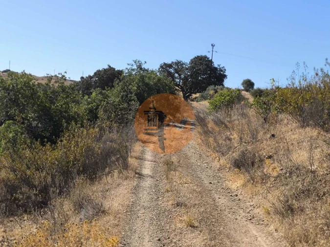 Terreno para Venda em Azinhal Foto 33