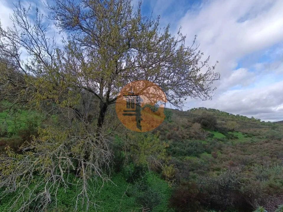 Negócio para Venda em Castro Marim Foto 1