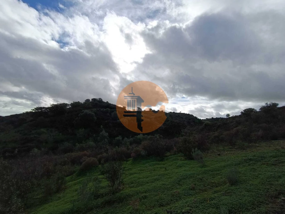 Negócio para Venda em Castro Marim Foto 8