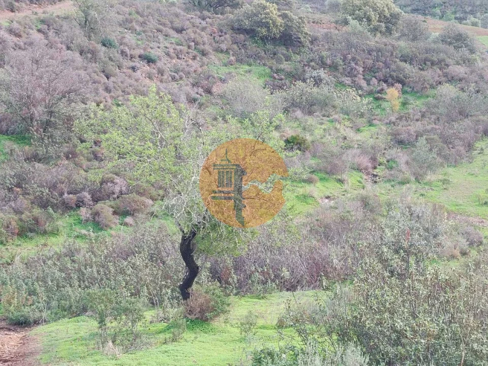 Negócio para Venda em Castro Marim Foto 10
