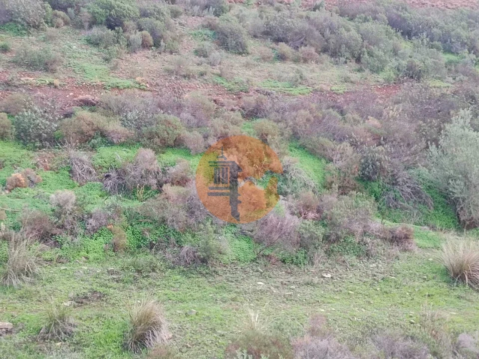 Negócio para Venda em Castro Marim Foto 24