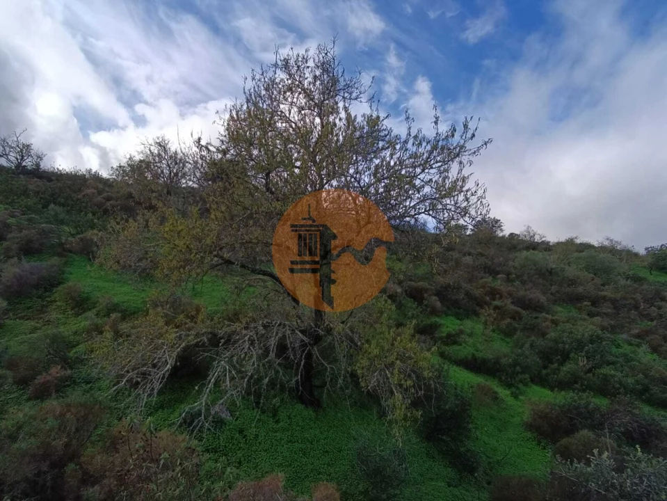 Negócio para Venda em Castro Marim Foto 25