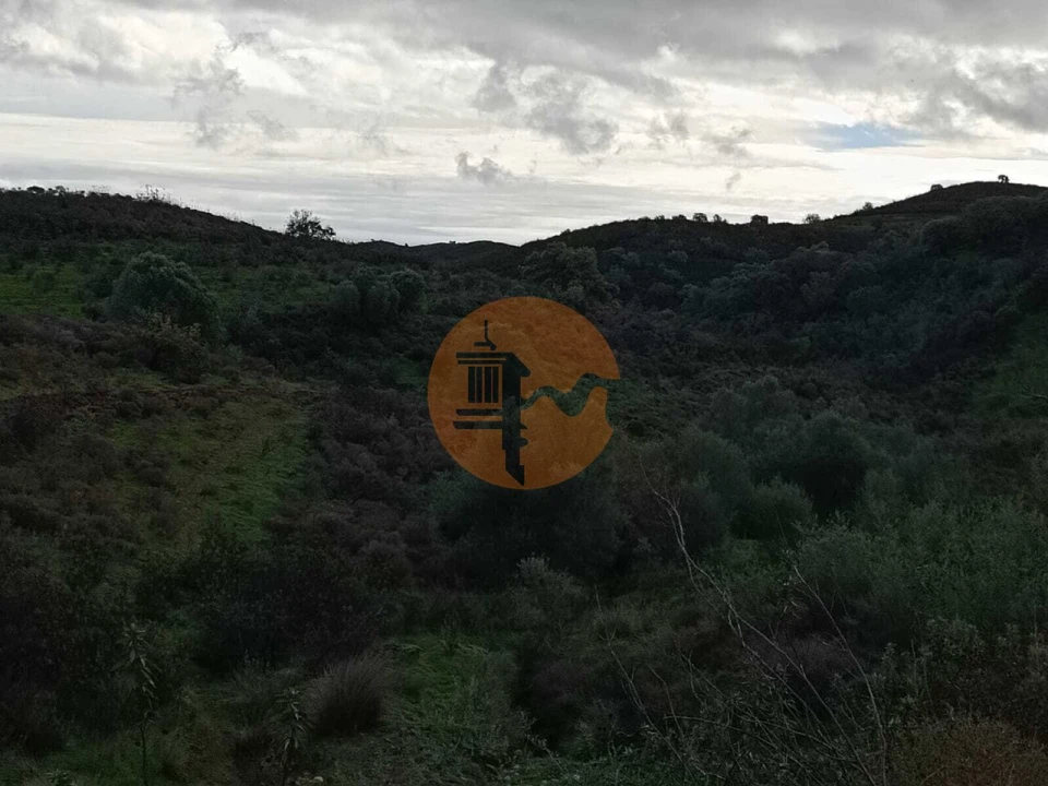 Negócio para Venda em Castro Marim Foto 28