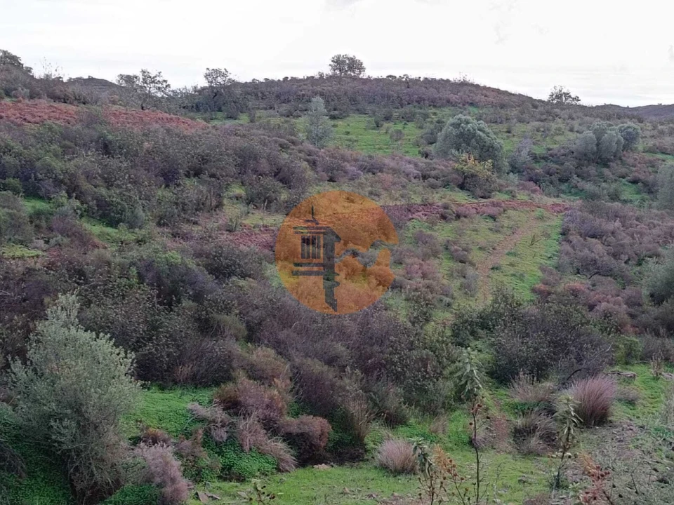 Negócio para Venda em Castro Marim Foto 31
