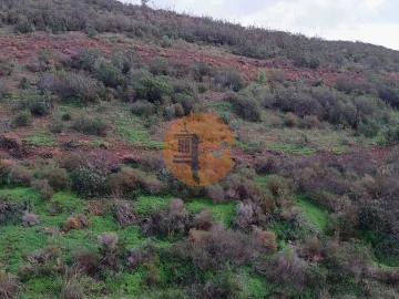 Negócio para Venda em Castro Marim
