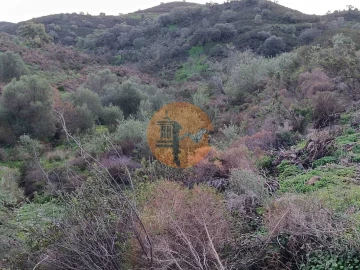 Negócio para Venda em Castro Marim