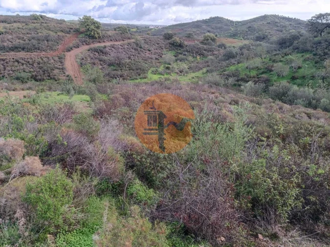 Negócio para Venda em Castro Marim Foto 19
