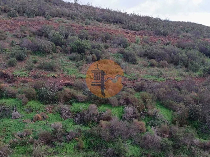 Negócio para Venda em Castro Marim Foto 26