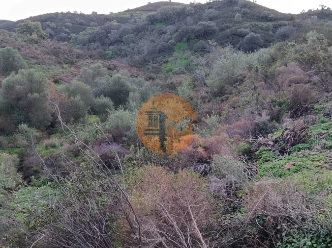 Negócio para Venda em Castro Marim Foto 27