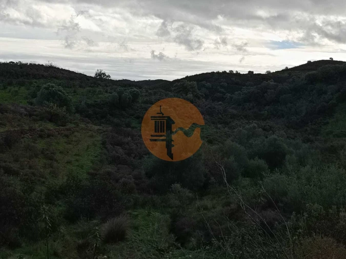 Negócio para Venda em Castro Marim Foto 28