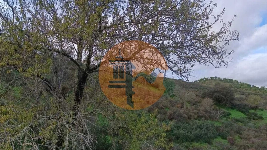 Negócio para Venda em Castro Marim