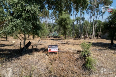 Terreno para Venda em Nossa Senhora da Piedade