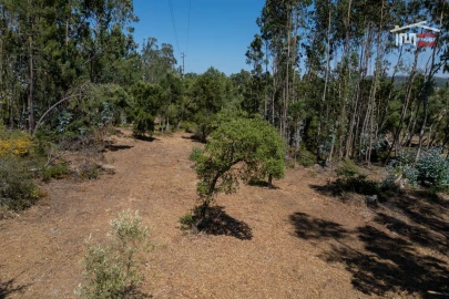 Terreno para Venda em Nossa Senhora da Piedade